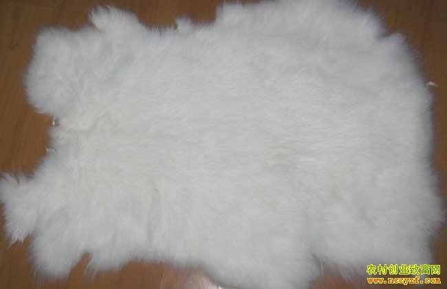 ������ë�۸����� 