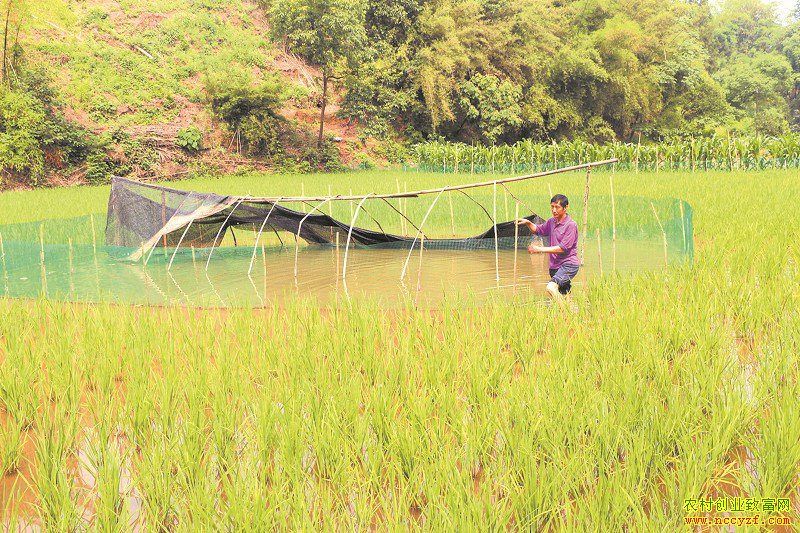 �Ĵ����ݽ��������µ�������ÿĶ������ǧԪ