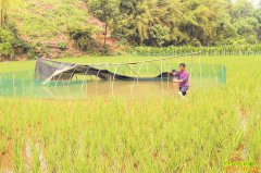 �Ĵ����ݽ��������µ�������ÿĶ������ǧԪ