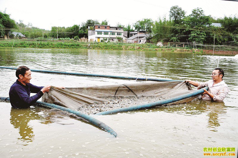 �Ĵ�������������������￲������ ˮ���̡��ƽ�