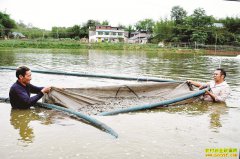 �Ĵ�������������������￲������ ˮ���̡��ƽ�