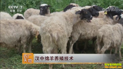 [ũ�����]��������������ֳ������Ƶ