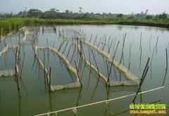 ���ո�����Тѧ����+���� ��Ϻ����Ч���