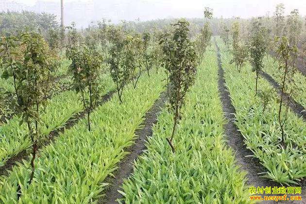 ���������ֶ���ϲ� Ķ����ɴ�4��Ԫ