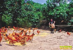 �����뽭��90��С��߷�������΢��ֱ��Ӯ�г�