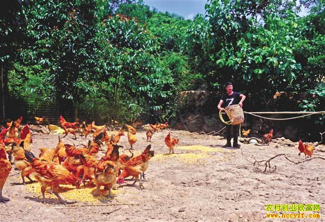 �����뽭��90��С��߷�������΢��ֱ��Ӯ�г�