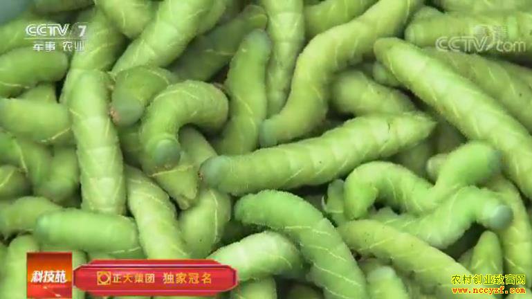 [�Ƽ�Է]�����ֶ� һĶ������Ǯ 20180705