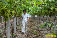 ��ʱ��ũҵ��Ҫʲô������ũ�ˣ�