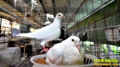 ���������೤�Ʒ������봴ҵ���¸�����