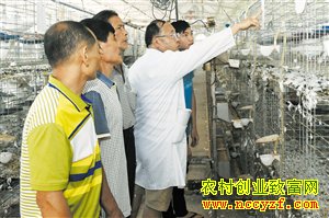 ���Ϻ���������������ʵ�ְ����˫Ӯ��