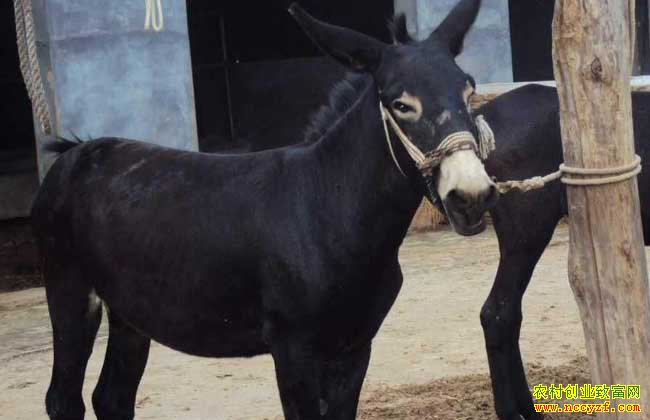 ¿��������¿ǰ������¿���ֹ��ĵļ����������