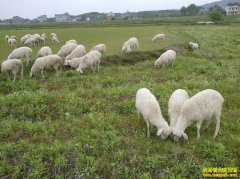 �㽭������ΰ����ҵ��������¸���ͷ��