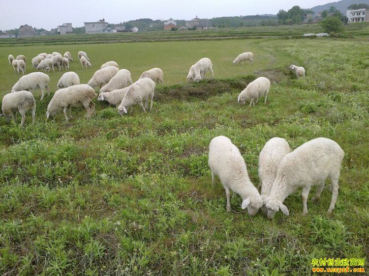 �㽭������ΰ����ҵ��������¸���ͷ��