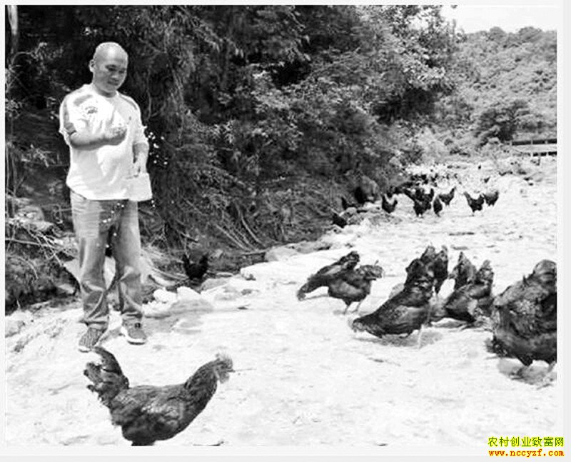 �㽭���ˡ���˾�����Ȫ����̬��ֳԽ������ҵ�¸�