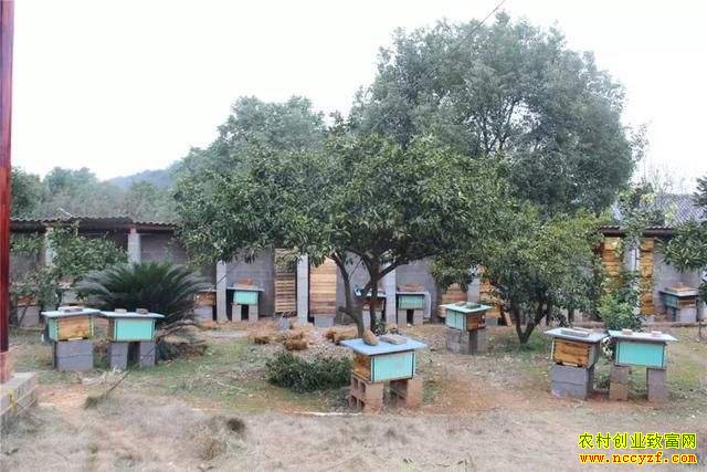 ���Ϻ��ڡ��������֡��³�����������������ƶ�¸�