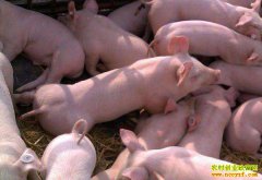 δ�����ۻ����������2018���°��������۸���������Ԥ��