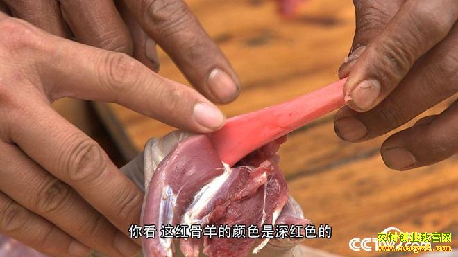 [�¸���]��������л������ֳϡ�������������80Ԫһ��