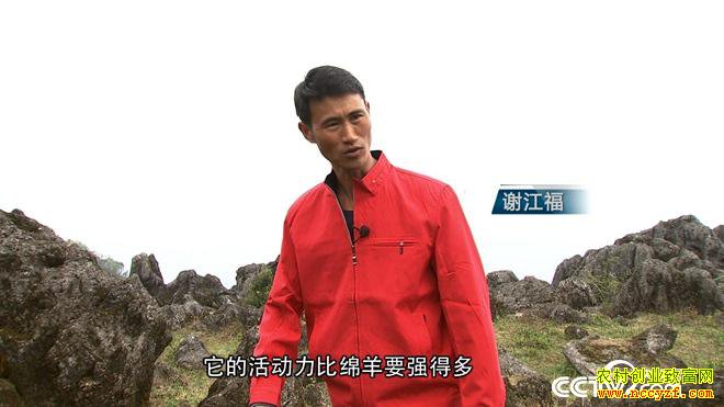 [�¸���]��������л������ֳϡ�������������80Ԫһ��