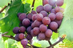 ���Ѽ۸�����Ϻ� ����ʦ����������������������