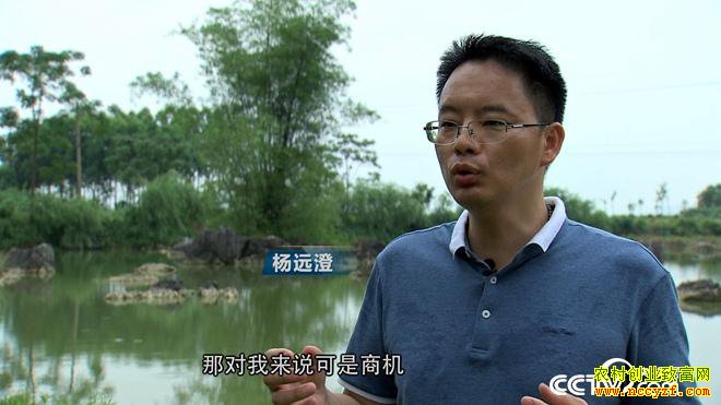 [�¸���]�����������廪��ʿ��Զ����ţ һ��ţ�����298Ԫ