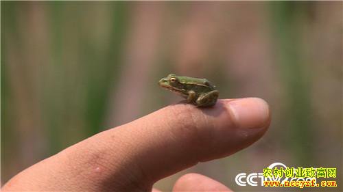 [�¸���]�������90��С������׬Ǯ������ 20180730 