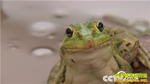 [�¸���]�������90��С������׬Ǯ������ 20180730 