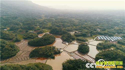 [�¸���]�������90��С������׬Ǯ������ 20180730 