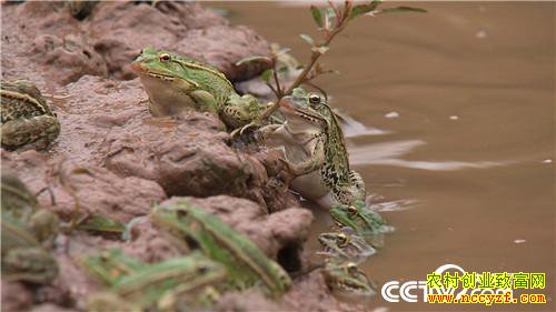 [�¸���]�������90��С������׬Ǯ������ 20180730 