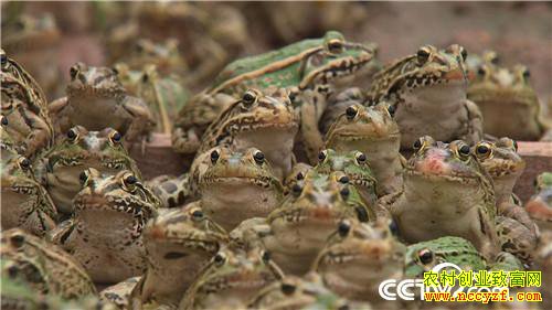 [�¸���]�������90��С������׬Ǯ������ 20180730 