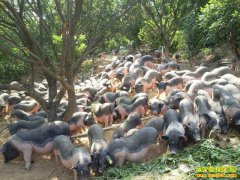 ��̬������Ǯ׬��δ����չ����