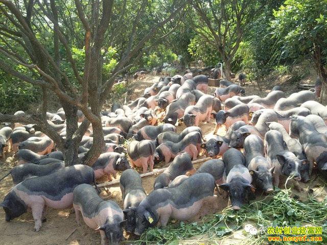 ��̬������Ǯ׬��δ����չ����