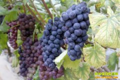 �㽭���������������־ȫ���������Ѵ�ҵ�¸�