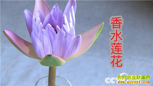 [�¸���]�����Ǻñ� ��ҵ��ţ�� 20180801 