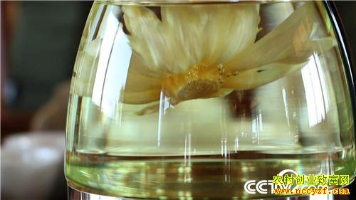 [�¸���]������Ǩ�������ʩ��ɽ��ֲˮ����ź������ǧ����