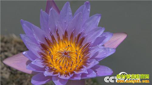 [�¸���]�����Ǻñ� ��ҵ��ţ�� 20180801 