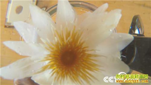 [�¸���]������Ǩ�������ʩ��ɽ��ֲˮ����ź������ǧ����