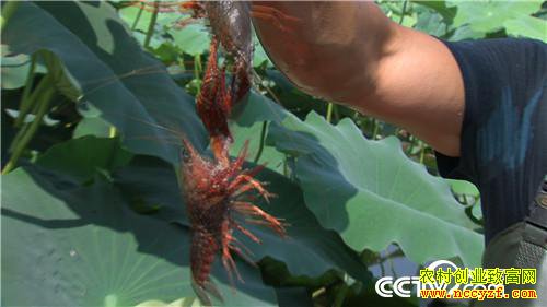 [�¸���]�����Ǻñ� ��ҵ��ţ�� 20180801 