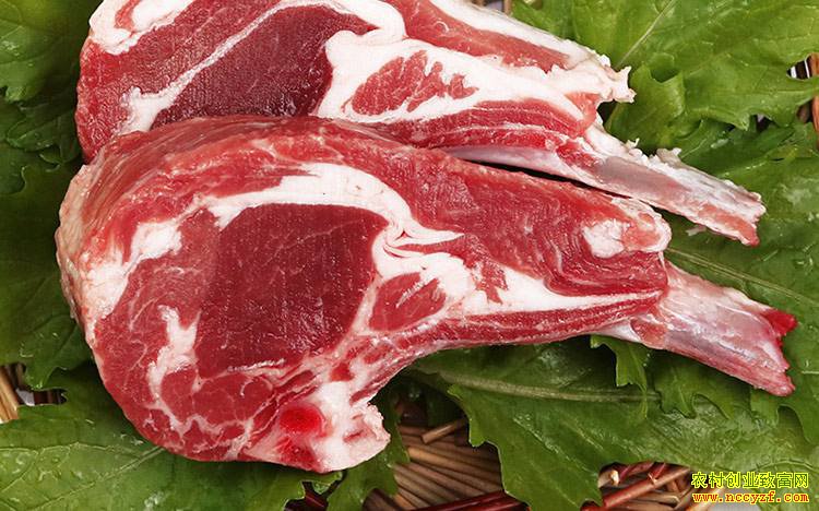 ����۸������������� ����Ӧ��������