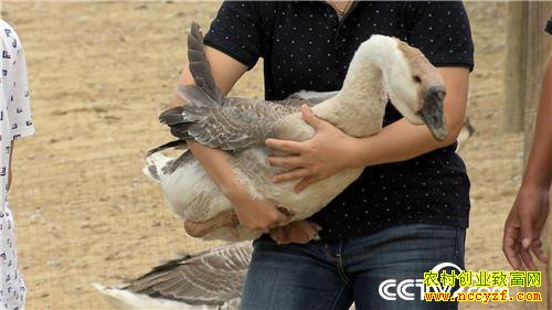 [�¸���]����ϱ�����ֶ� ���С��衱��ǧ��� 20180807 