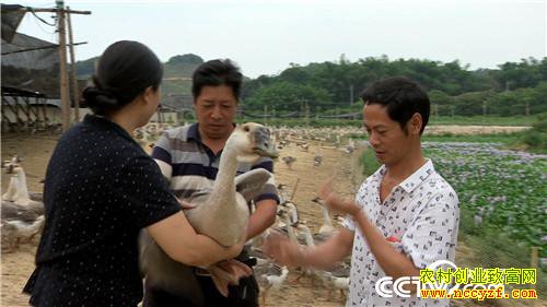 [�¸���]����ϱ�����ֶ� ���С��衱��ǧ��� 20180807 