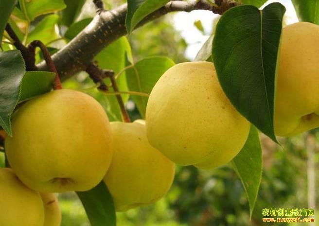 [ũ�����]�ƹ���������ֲ������Ƶ