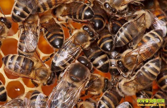 �㽭���½���ľ��������60�������¸�·