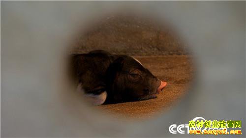 [�¸���]�����ְ���ʱ���������Ⱥ������һ������800��