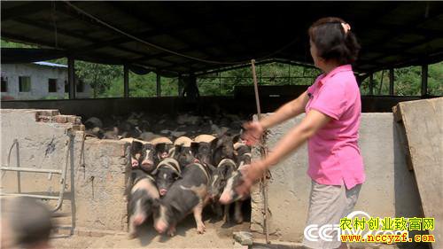 [�¸���]ʱ������������ һ������800��20180808 