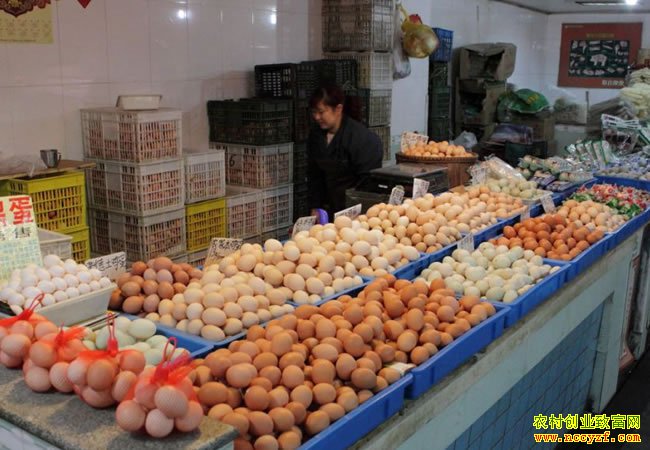 鸡蛋价格提前进入周期性上涨 短期内易涨难跌