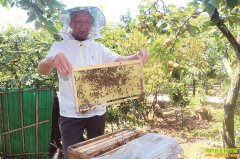 �Ĵ�����73�������Ű�����������һ������5��Ԫ