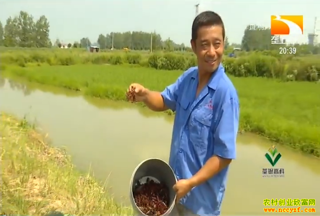 �¸���Ŀ�������������Ϻ������ Ч�桰˫Ӯ��������40��