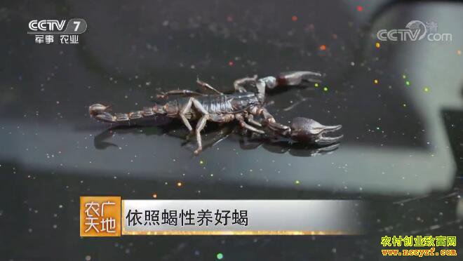 [ũ�����]����Ы������Ы 20180814