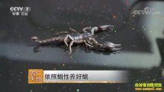 [ũ�����]ɽ��������������Ы����Ы������200����Ԫ