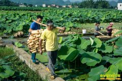 ������ź���й�Ӧ���� ��ź�۸�����